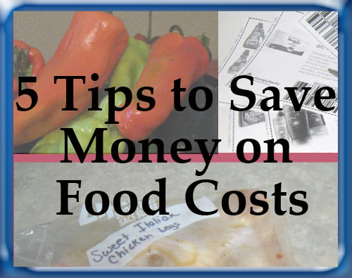5 Tips to Save Money on Food Costs (Guest Post from Pixie Dust Savings)