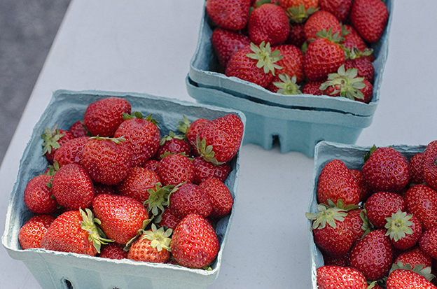 MicroAdventure-FarmersMarket-Strawberries