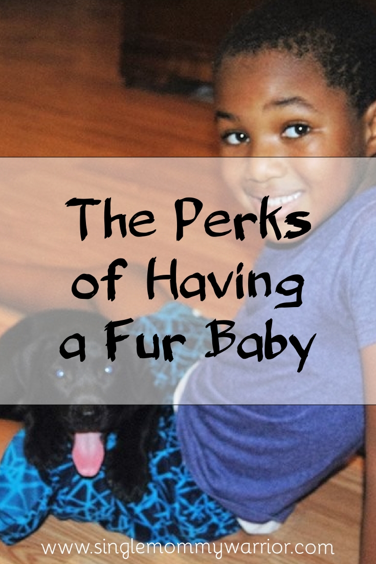 Perks of Having a Fur Baby