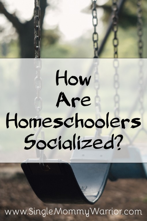 how are homeschoolers socialized