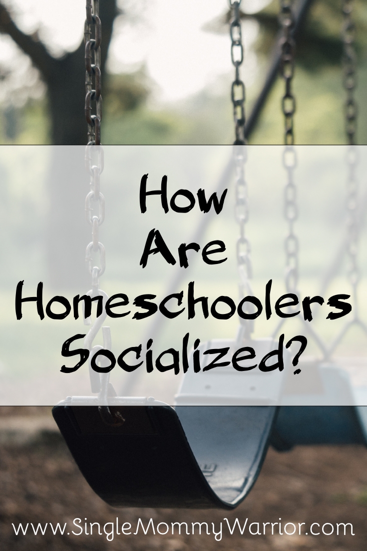 How Are Homeschoolers Socialized?
