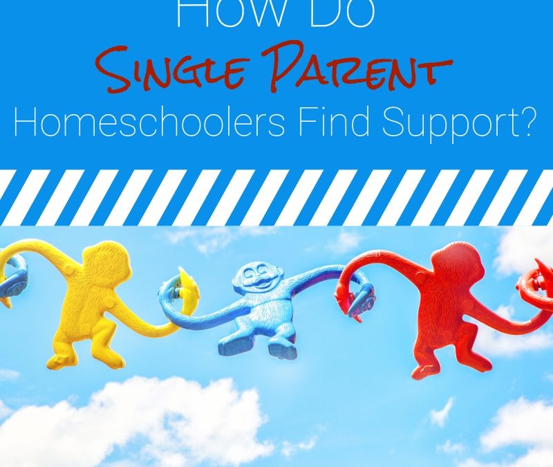 How Do Single Parent Homeschoolers Find Support?
